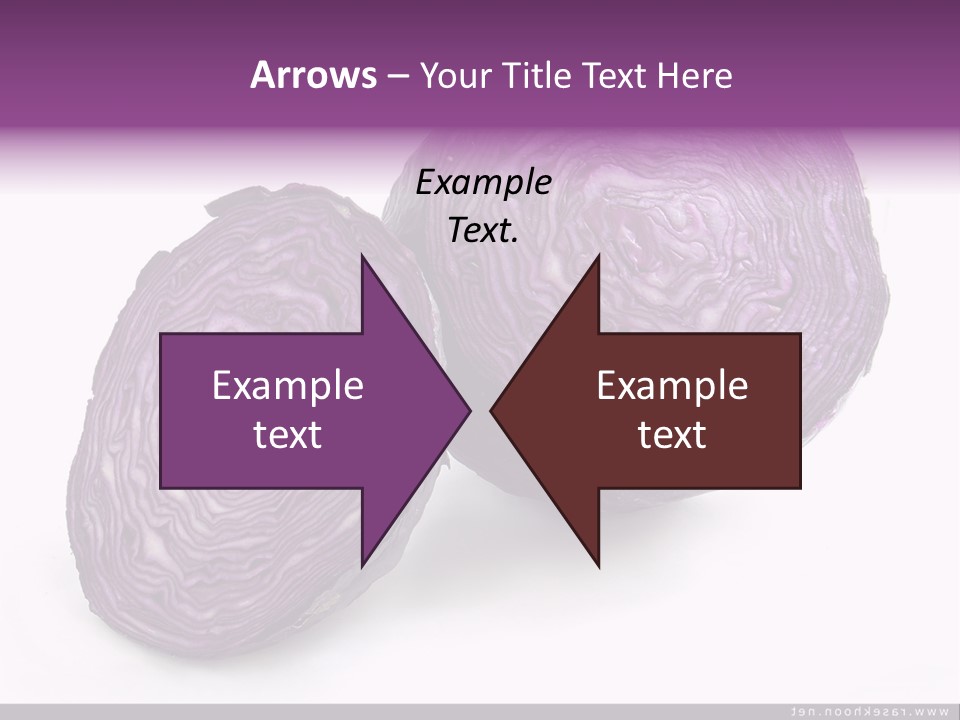 Two Purple Cabbages With A White Background PowerPoint Template