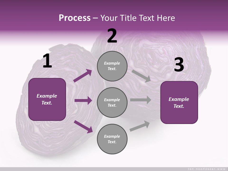 Two Purple Cabbages With A White Background PowerPoint Template