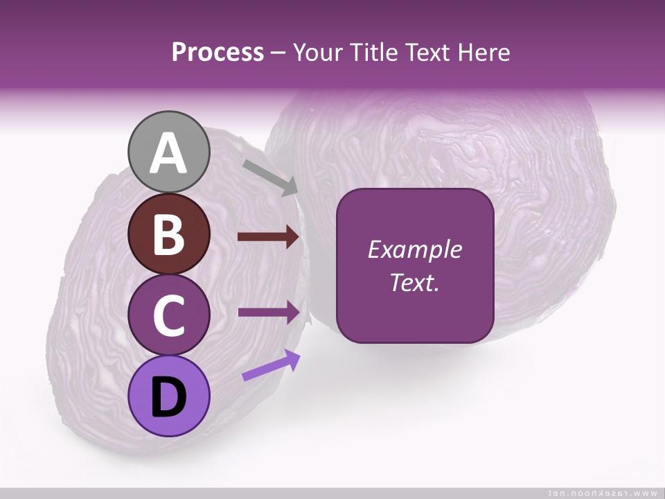 Two Purple Cabbages With A White Background PowerPoint Template