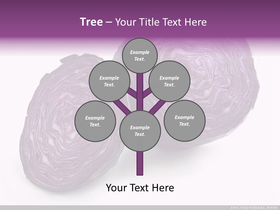 Two Purple Cabbages With A White Background PowerPoint Template
