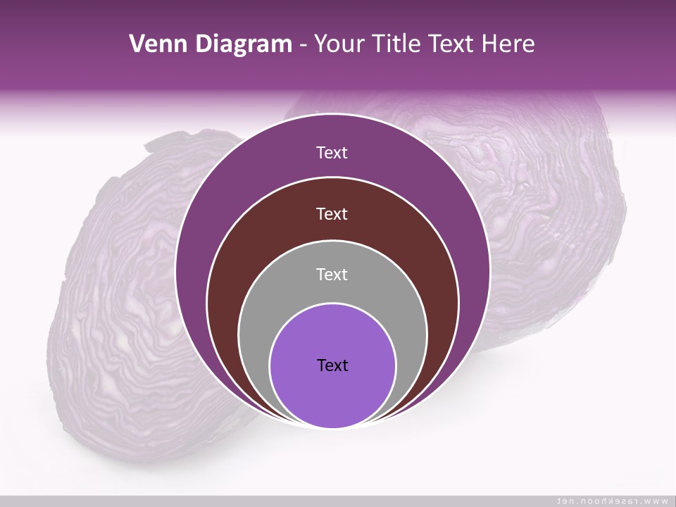 Two Purple Cabbages With A White Background PowerPoint Template