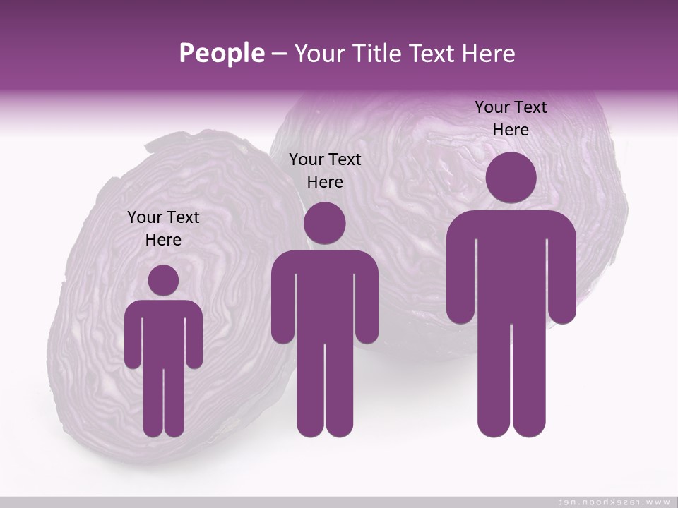 Two Purple Cabbages With A White Background PowerPoint Template