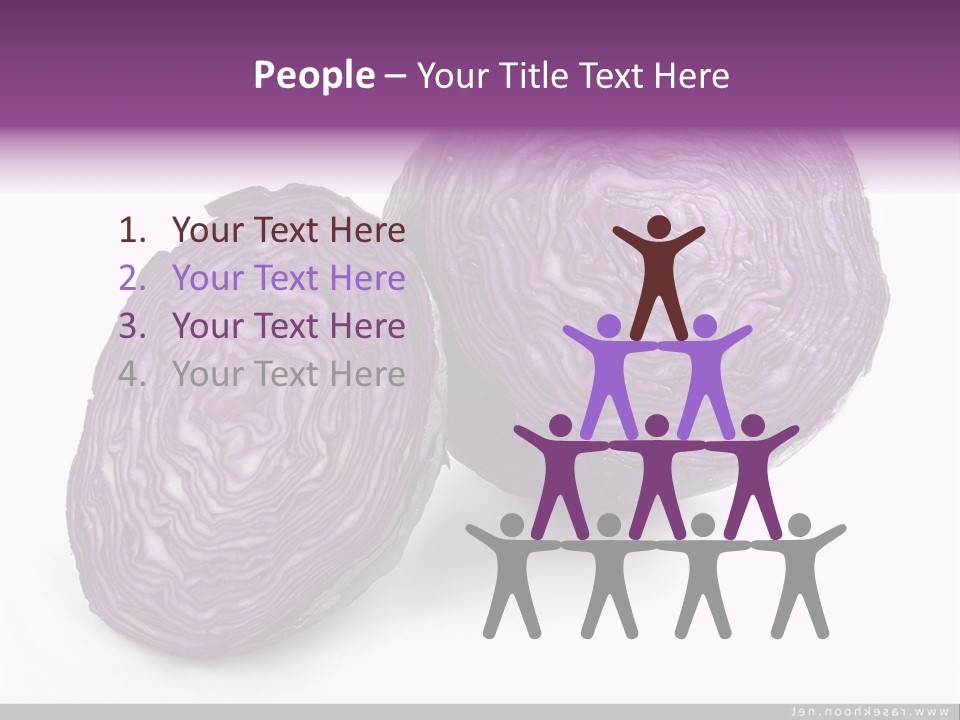 Two Purple Cabbages With A White Background PowerPoint Template