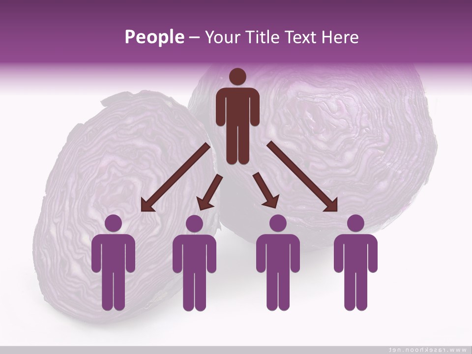 Two Purple Cabbages With A White Background PowerPoint Template