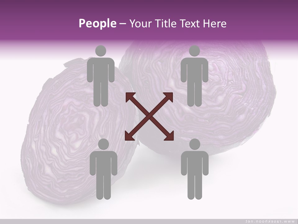 Two Purple Cabbages With A White Background PowerPoint Template