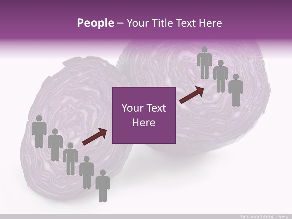 Two Purple Cabbages With A White Background PowerPoint Template
