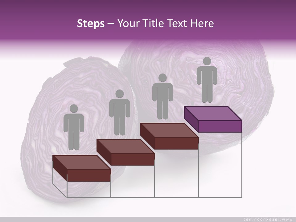Two Purple Cabbages With A White Background PowerPoint Template