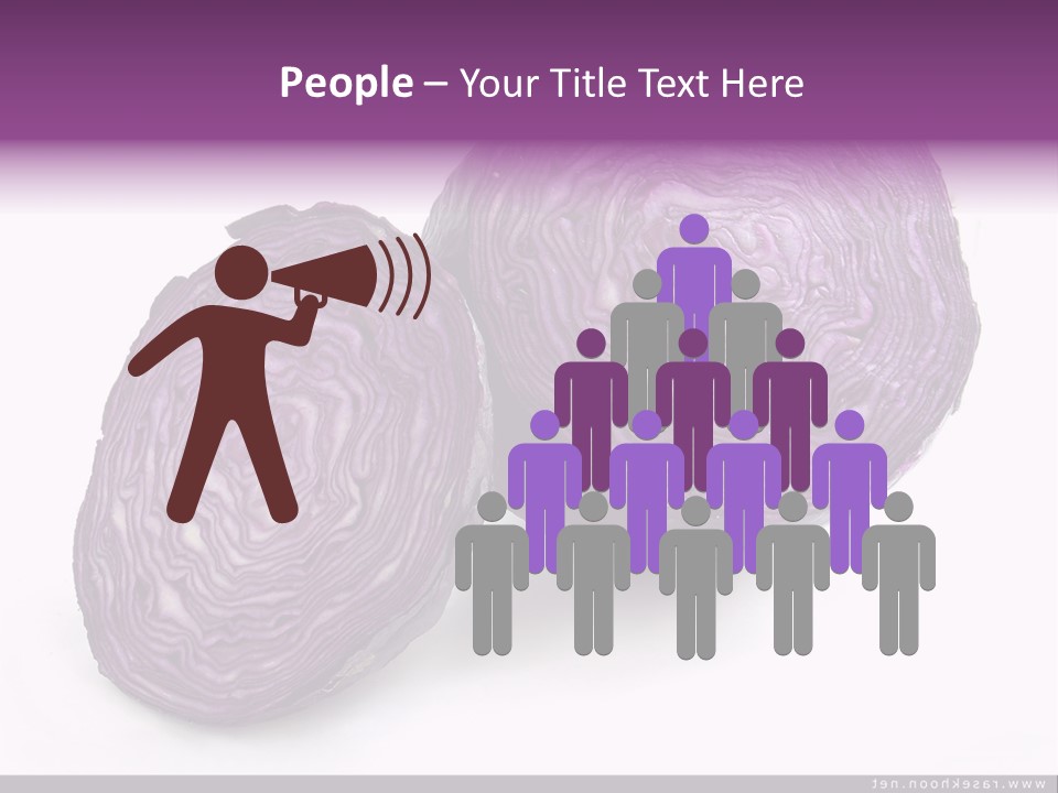 Two Purple Cabbages With A White Background PowerPoint Template