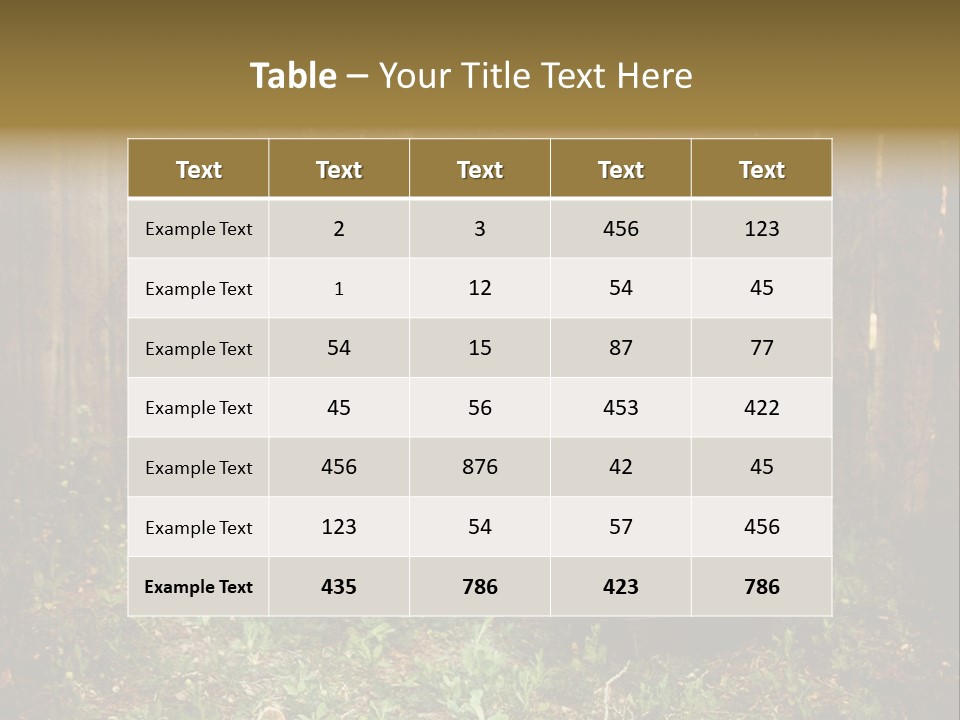 Filter Playground Antique PowerPoint Template