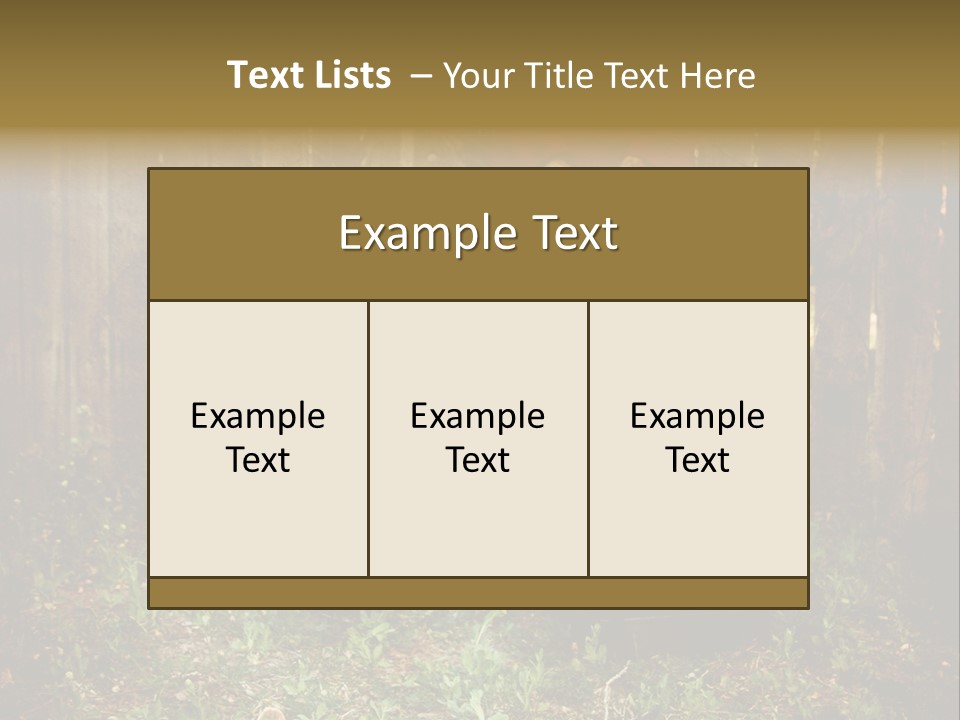 Filter Playground Antique PowerPoint Template