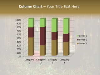 Filter Playground Antique PowerPoint Template