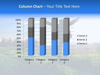 Delight Rapture Twilight PowerPoint Template