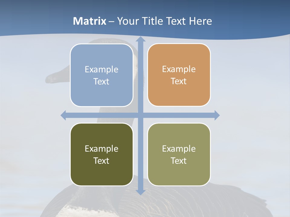 Bird Hunting Bird In Flight Branta Canadensis PowerPoint Template