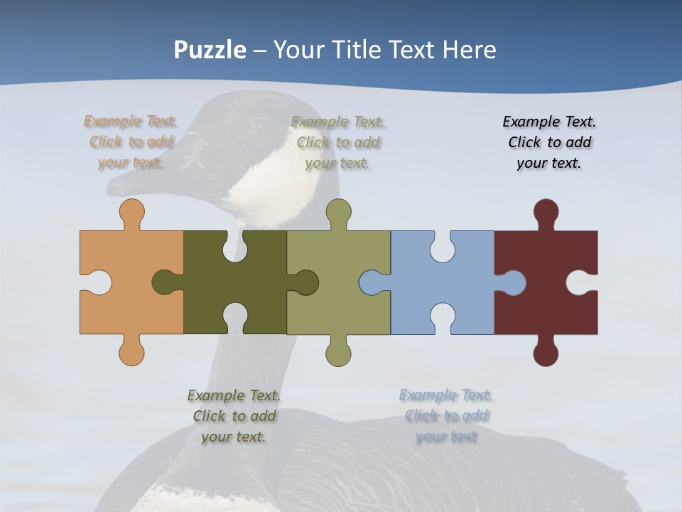 Bird Hunting Bird In Flight Branta Canadensis PowerPoint Template