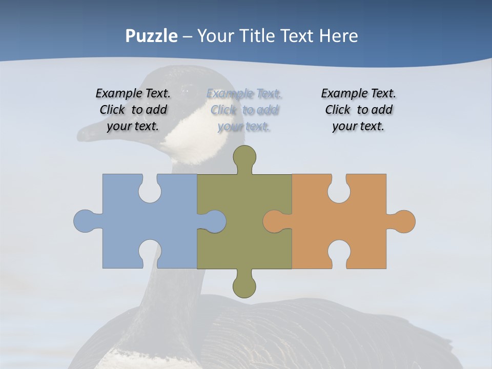 Bird Hunting Bird In Flight Branta Canadensis PowerPoint Template