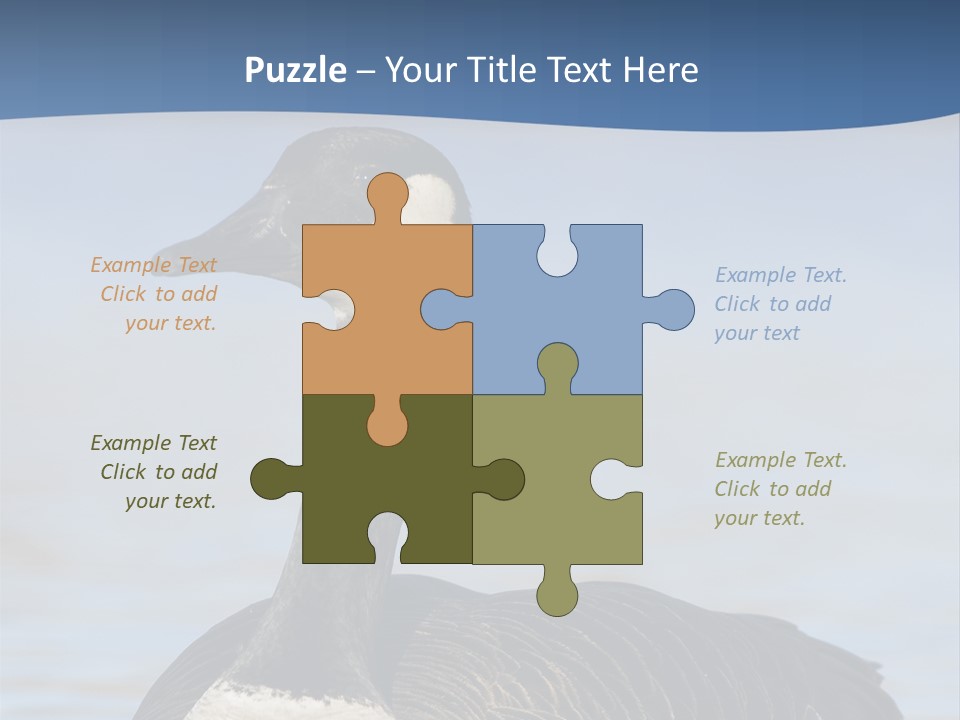 Bird Hunting Bird In Flight Branta Canadensis PowerPoint Template