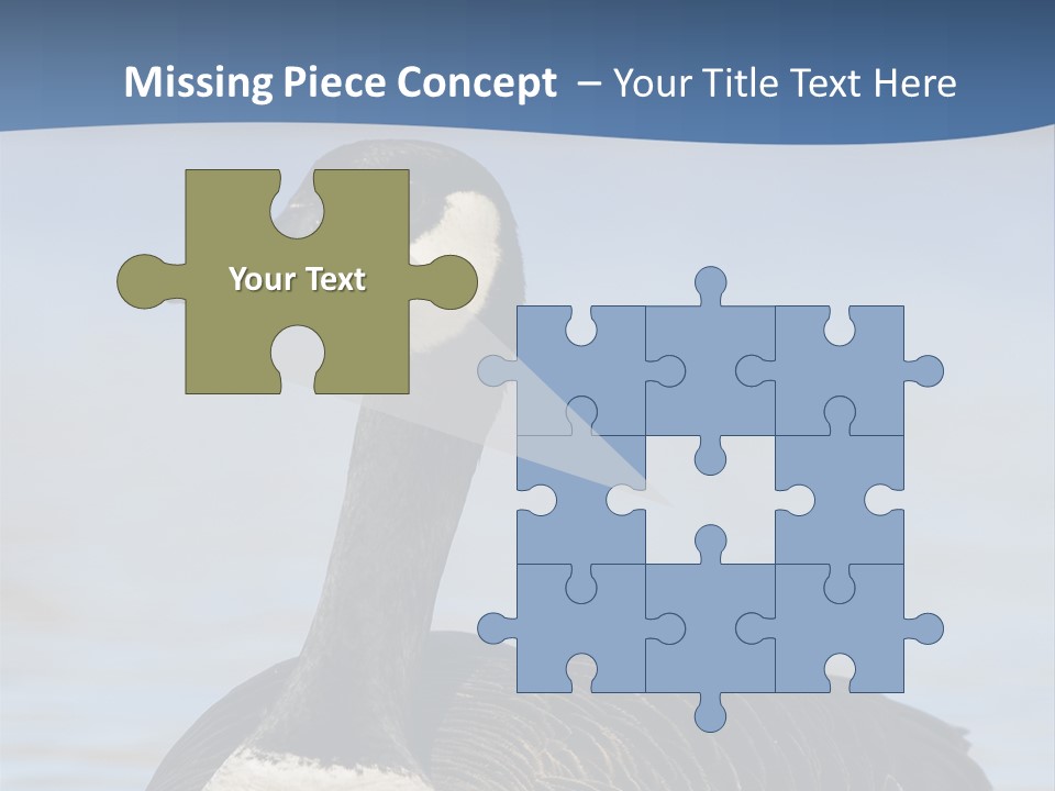 Bird Hunting Bird In Flight Branta Canadensis PowerPoint Template