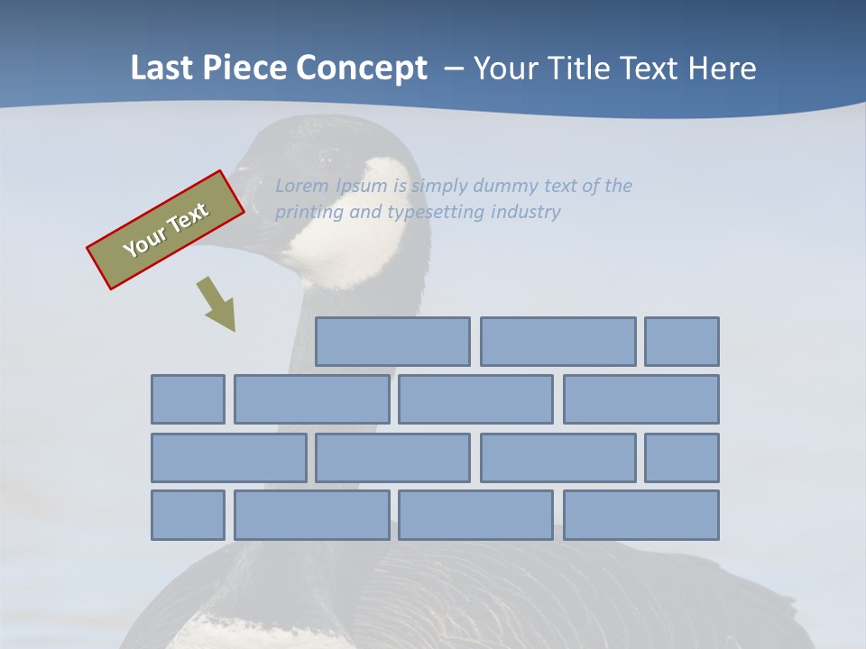 Bird Hunting Bird In Flight Branta Canadensis PowerPoint Template