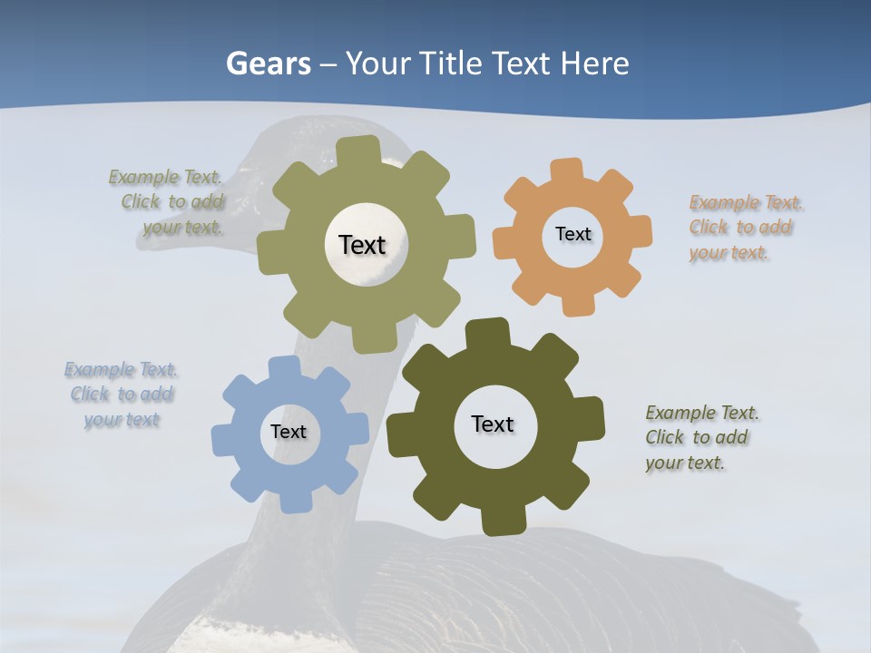 Bird Hunting Bird In Flight Branta Canadensis PowerPoint Template