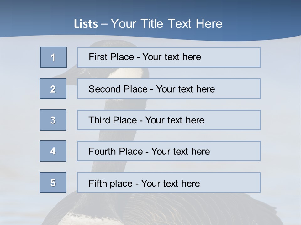 Bird Hunting Bird In Flight Branta Canadensis PowerPoint Template