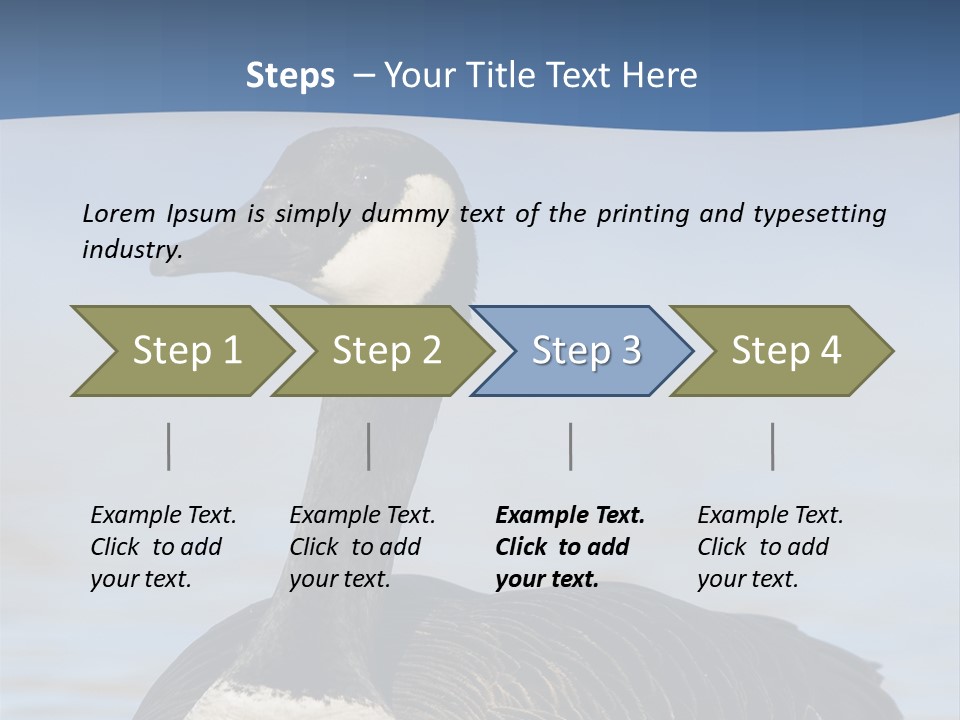 Bird Hunting Bird In Flight Branta Canadensis PowerPoint Template