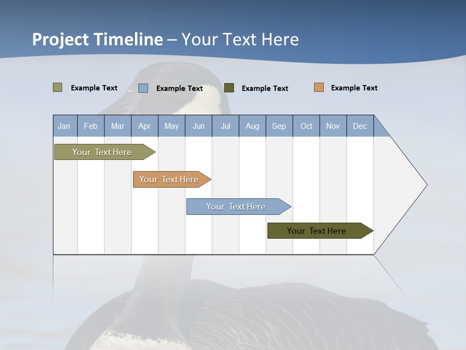 Bird Hunting Bird In Flight Branta Canadensis PowerPoint Template
