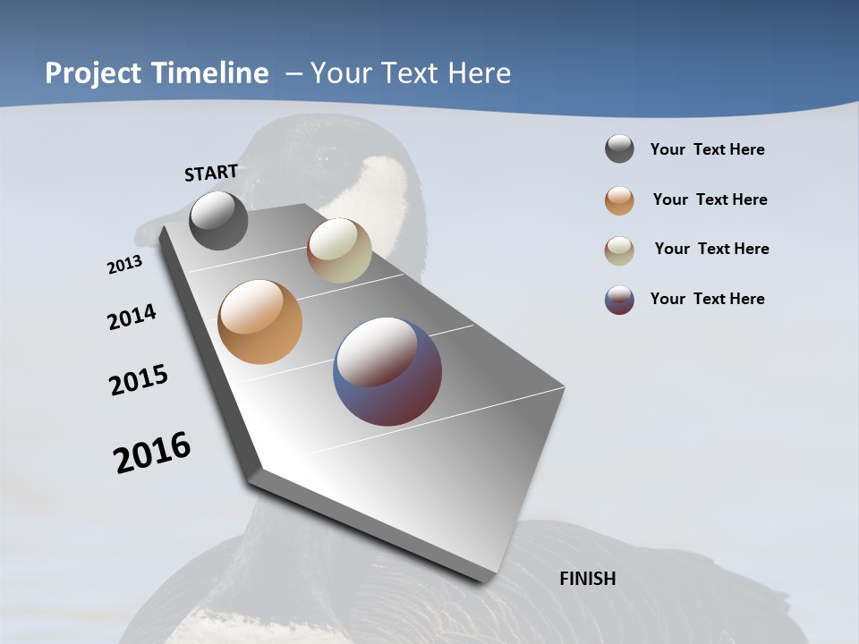 Bird Hunting Bird In Flight Branta Canadensis PowerPoint Template