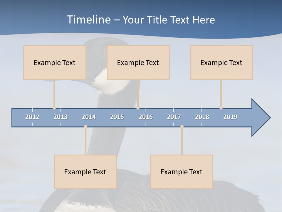 Bird Hunting Bird In Flight Branta Canadensis PowerPoint Template