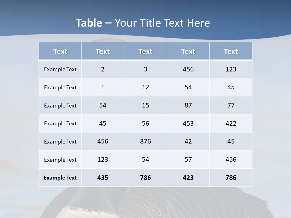 Bird Hunting Bird In Flight Branta Canadensis PowerPoint Template