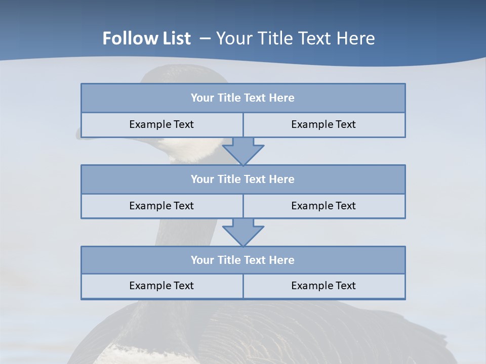 Bird Hunting Bird In Flight Branta Canadensis PowerPoint Template