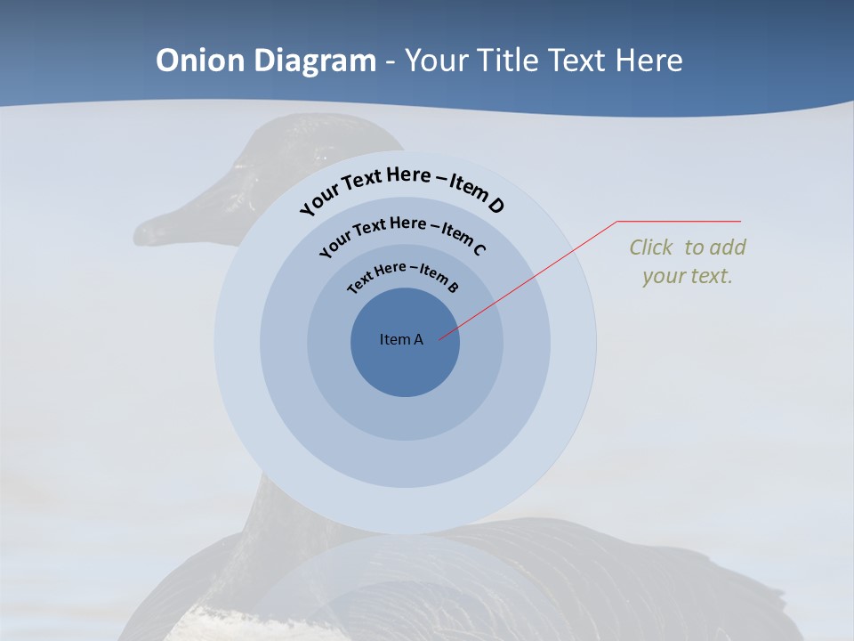 Bird Hunting Bird In Flight Branta Canadensis PowerPoint Template