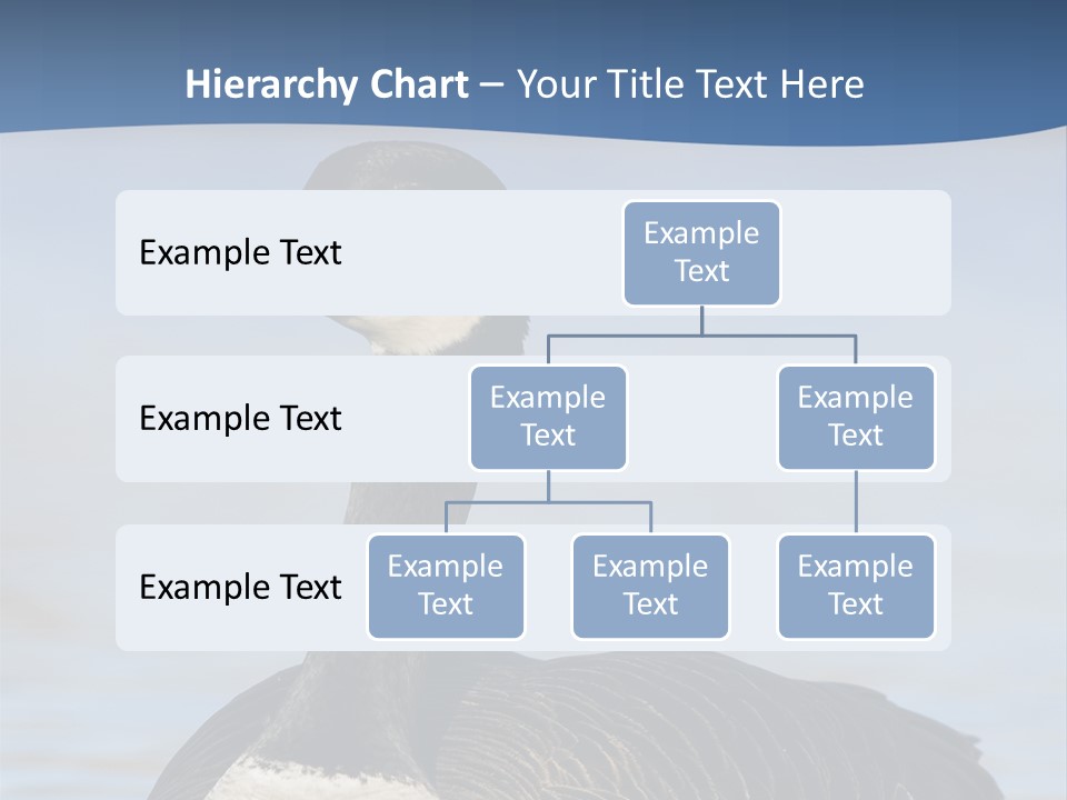 Bird Hunting Bird In Flight Branta Canadensis PowerPoint Template