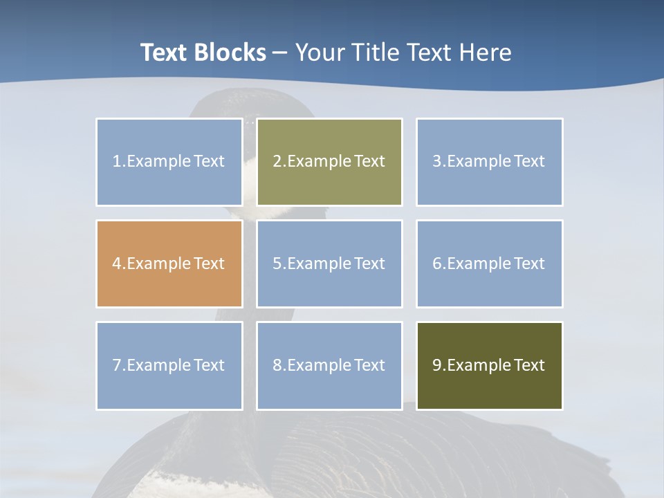 Bird Hunting Bird In Flight Branta Canadensis PowerPoint Template