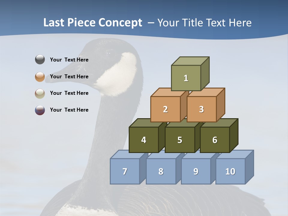 Bird Hunting Bird In Flight Branta Canadensis PowerPoint Template