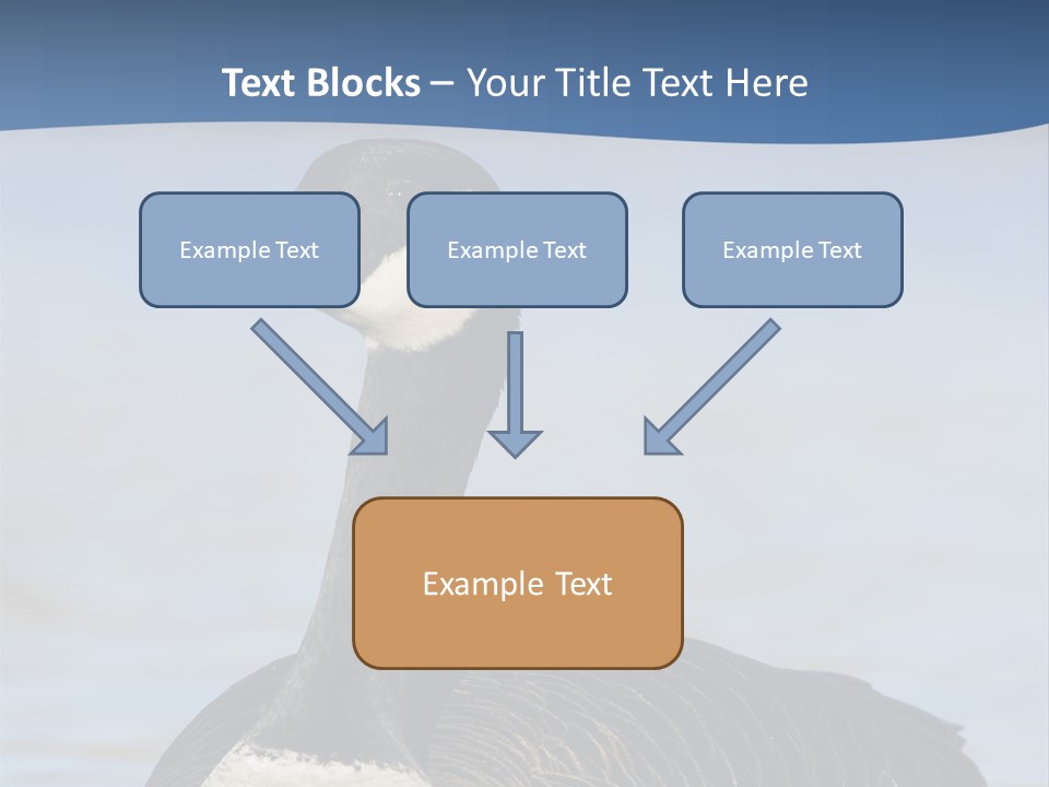 Bird Hunting Bird In Flight Branta Canadensis PowerPoint Template