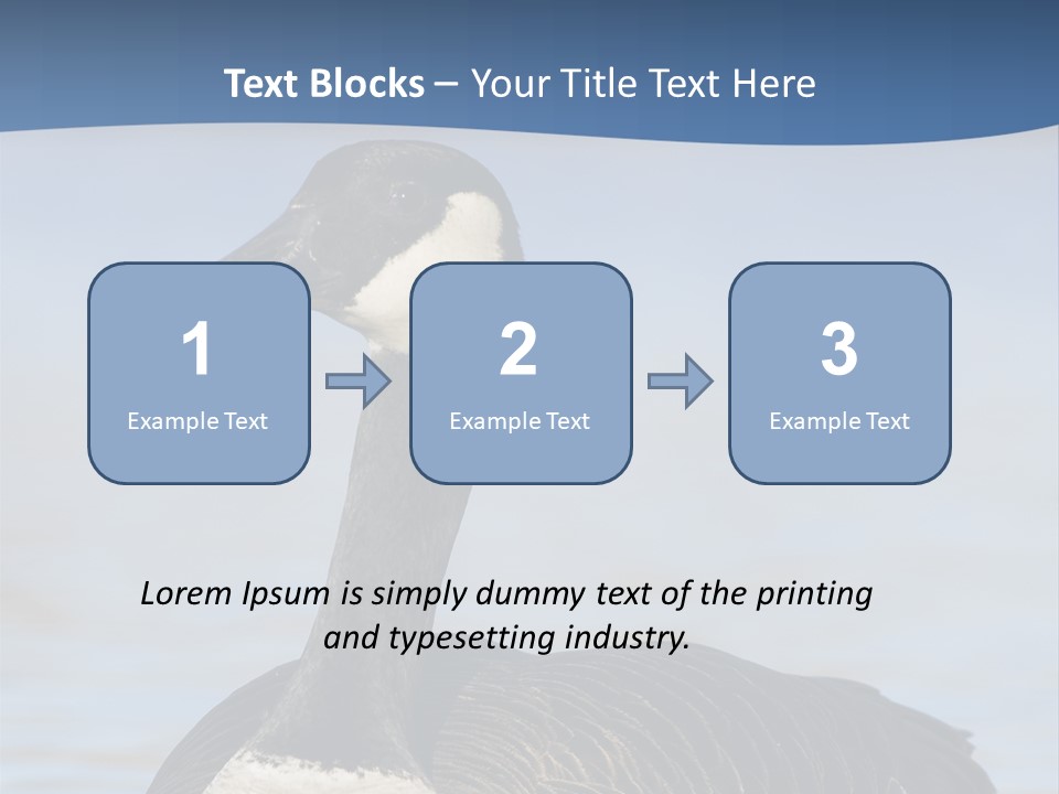 Bird Hunting Bird In Flight Branta Canadensis PowerPoint Template