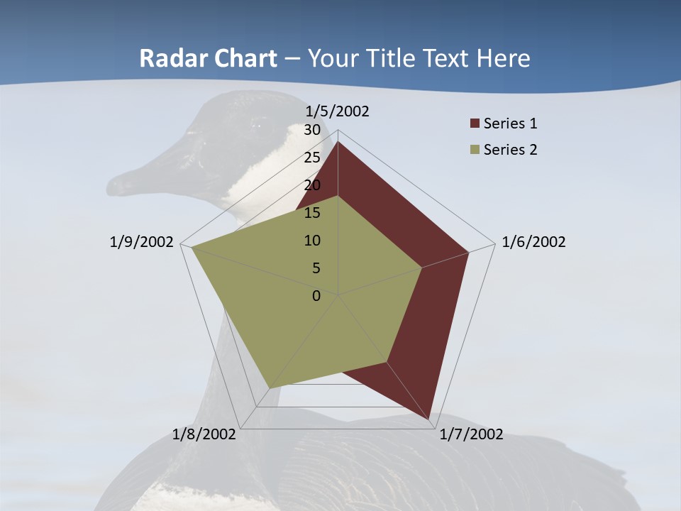 Bird Hunting Bird In Flight Branta Canadensis PowerPoint Template
