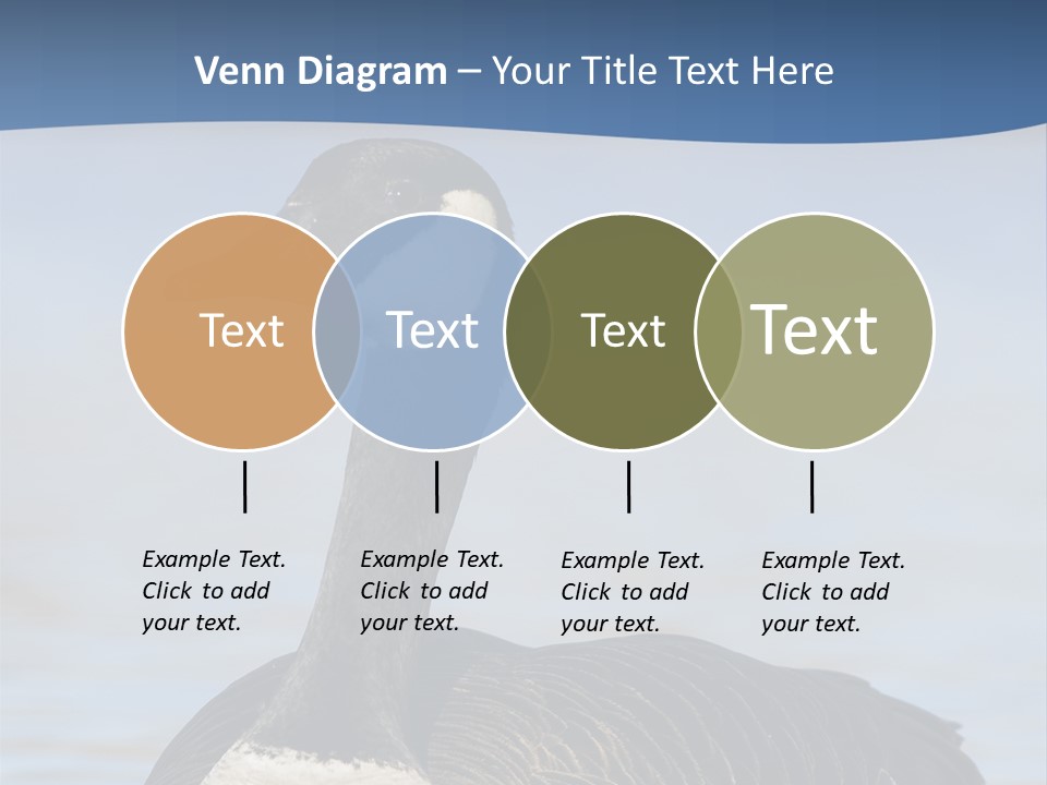 Bird Hunting Bird In Flight Branta Canadensis PowerPoint Template