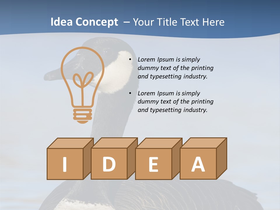 Bird Hunting Bird In Flight Branta Canadensis PowerPoint Template