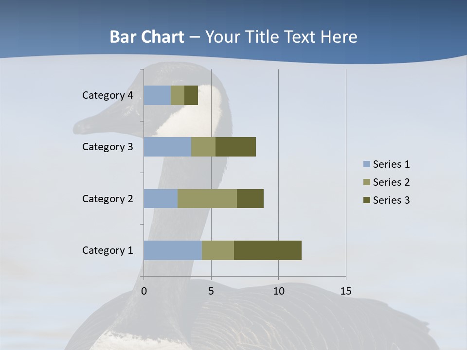 Bird Hunting Bird In Flight Branta Canadensis PowerPoint Template