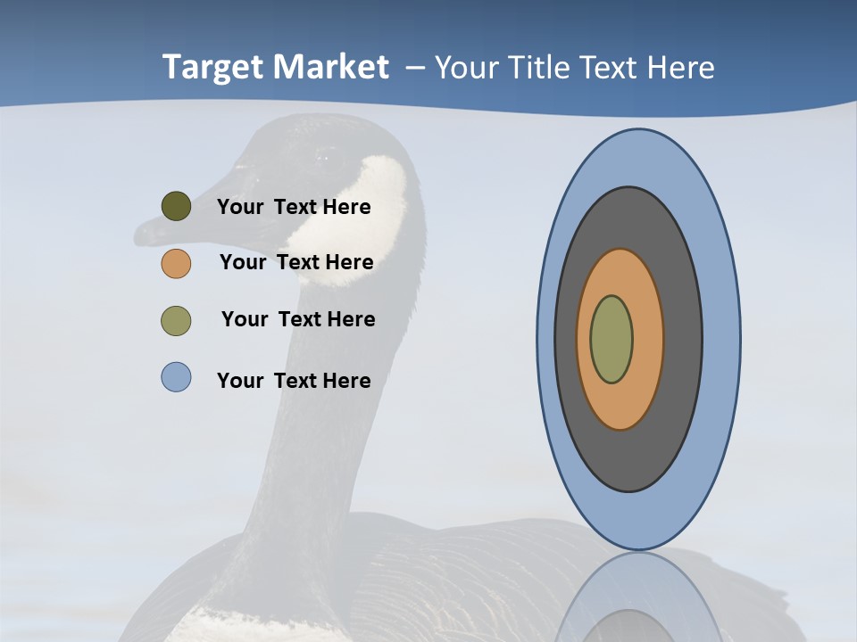 Bird Hunting Bird In Flight Branta Canadensis PowerPoint Template