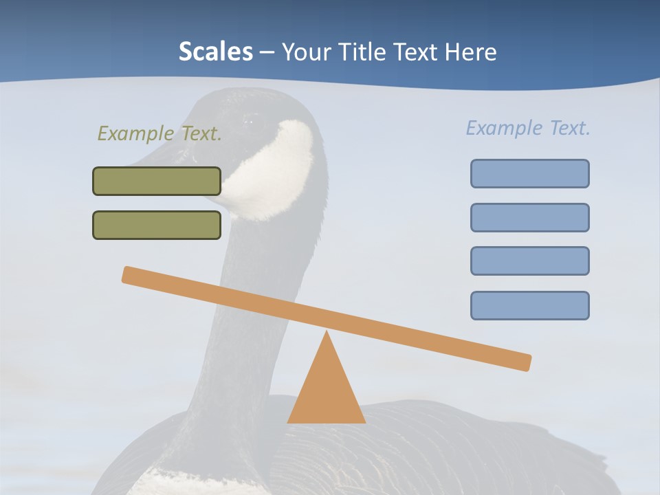 Bird Hunting Bird In Flight Branta Canadensis PowerPoint Template