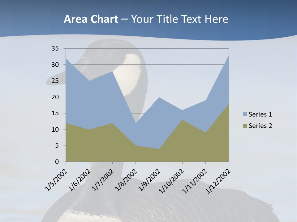 Bird Hunting Bird In Flight Branta Canadensis PowerPoint Template