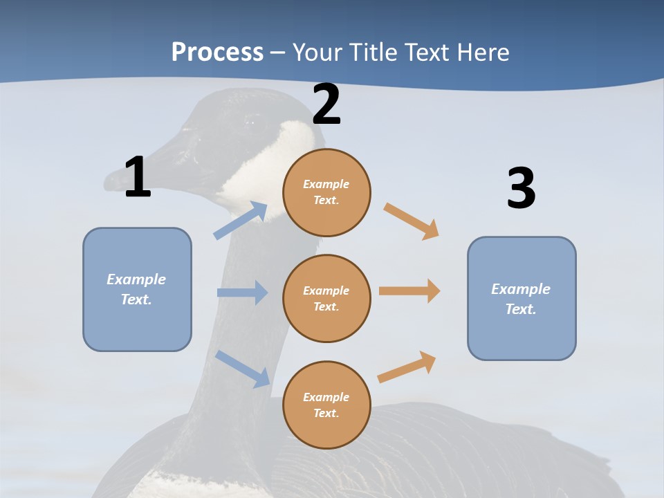 Bird Hunting Bird In Flight Branta Canadensis PowerPoint Template
