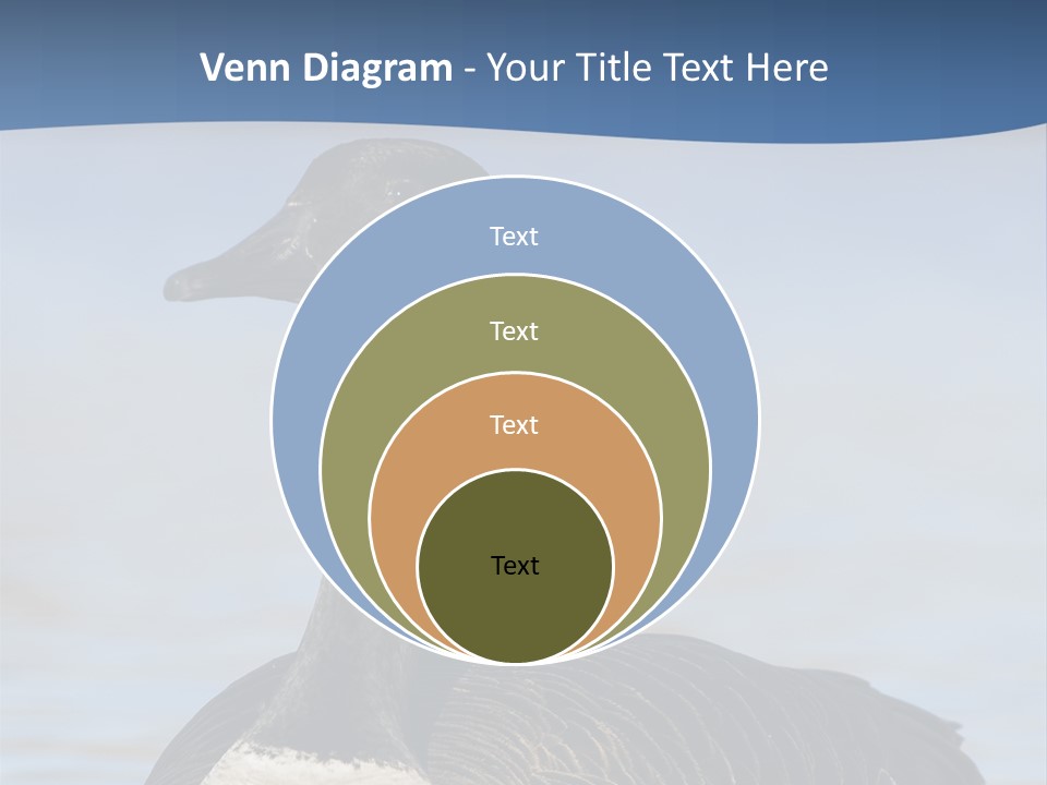 Bird Hunting Bird In Flight Branta Canadensis PowerPoint Template