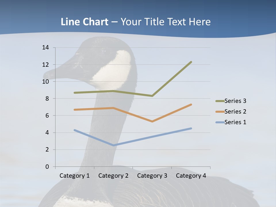 Bird Hunting Bird In Flight Branta Canadensis PowerPoint Template