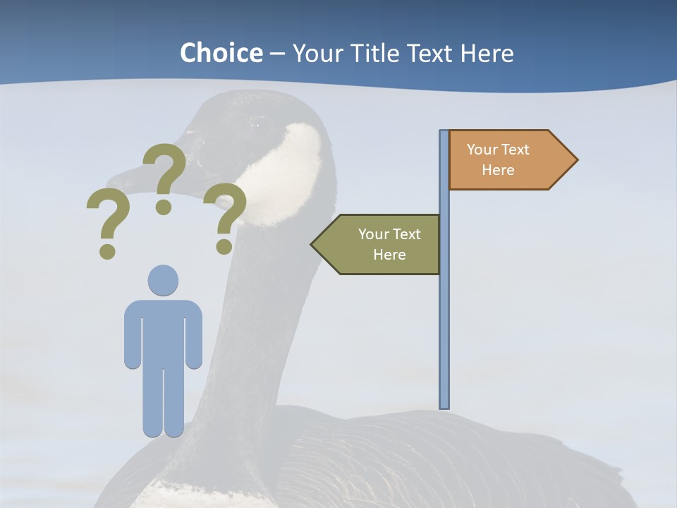 Bird Hunting Bird In Flight Branta Canadensis PowerPoint Template