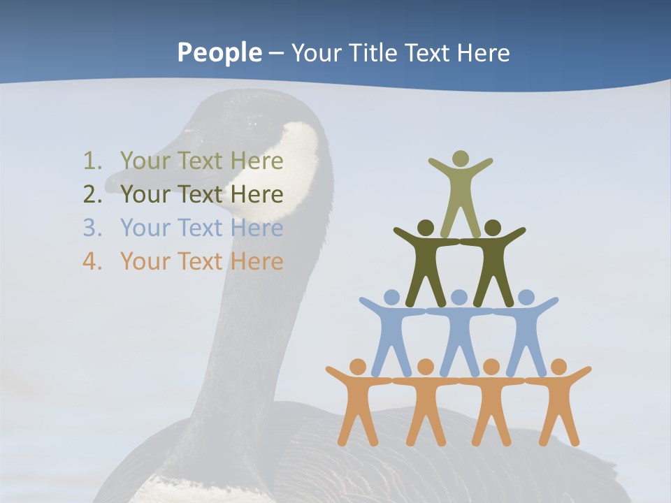 Bird Hunting Bird In Flight Branta Canadensis PowerPoint Template