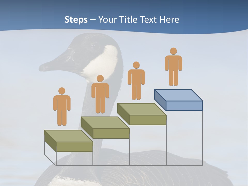 Bird Hunting Bird In Flight Branta Canadensis PowerPoint Template