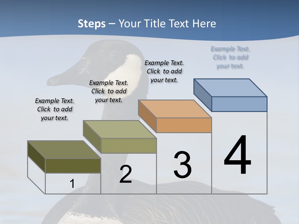 Bird Hunting Bird In Flight Branta Canadensis PowerPoint Template